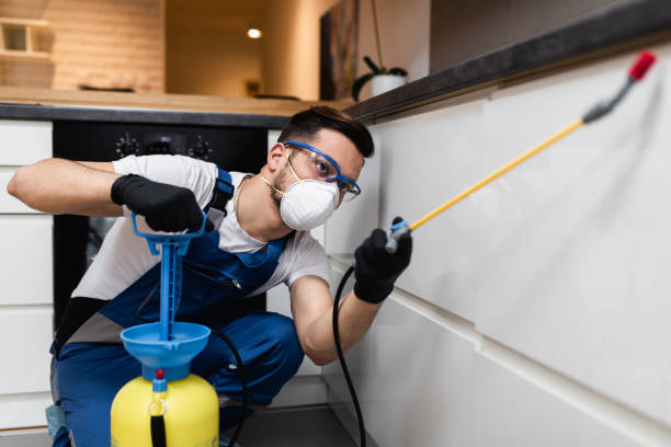 Pest Control Cost in Lake Zurich, IL