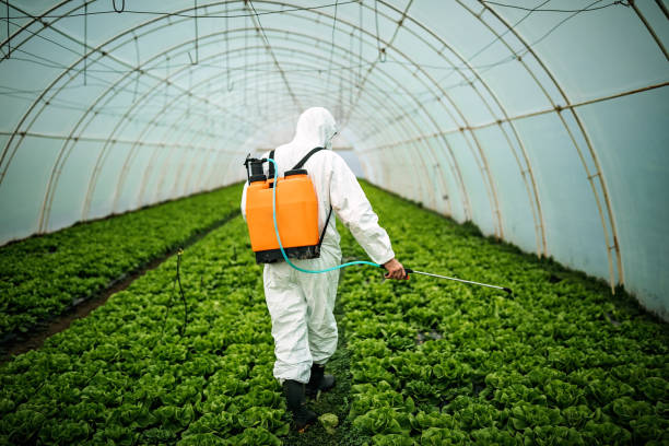 Best Pest Control Near Me  in Lake Zurich, IL