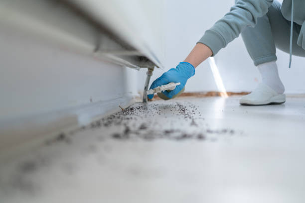 Best Pest Control Near Me  in Lake Zurich, IL